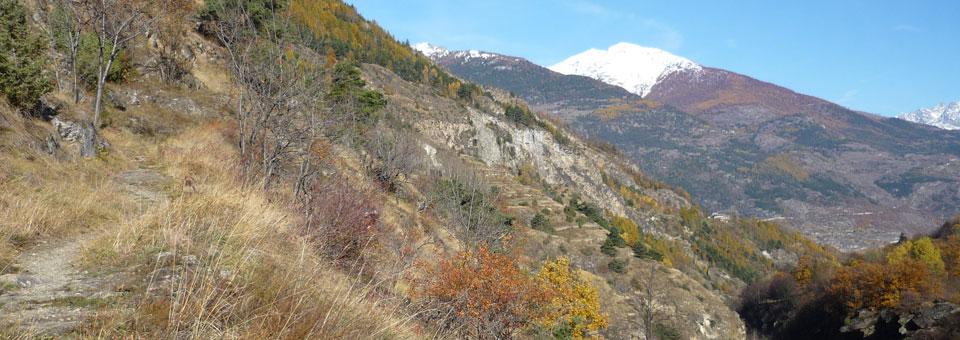 Riserva naturale di Aymavilles